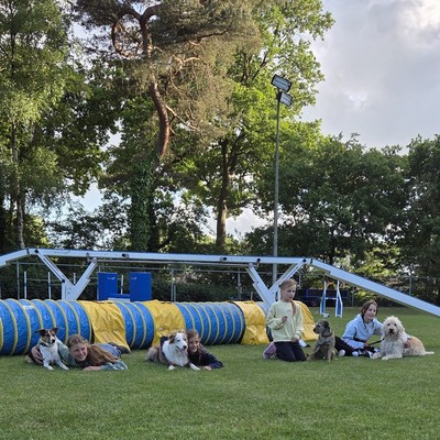 agility-junioren-400x400