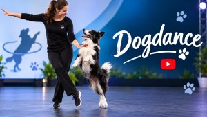 dogdance-youtube-banner-2048x1152