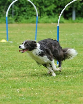 img-20260726-wa0000